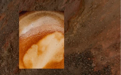 风土对咖啡的影响:土壤、气候与海拔如何塑造风味