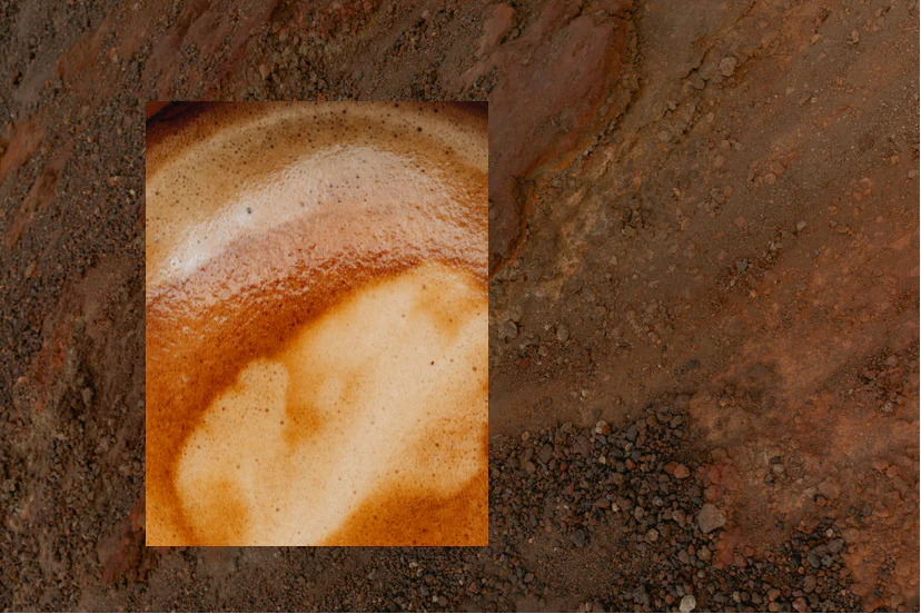 风土对咖啡的影响：土壤、气候与海拔如何塑造风味